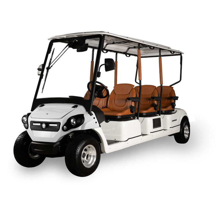 6-Seater Golf Cart
